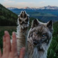 findyoursummit