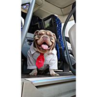 brunnodog