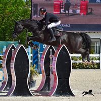 david_kranz_stables