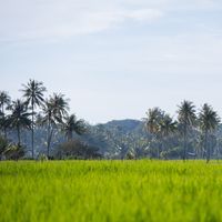 original sound - เรา ต้อง ไป