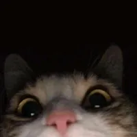 original sound - markslowup