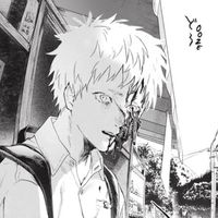 hikarusentity