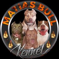 matias.bull.kenne