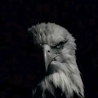 original sound - felix_dehuel_mella0