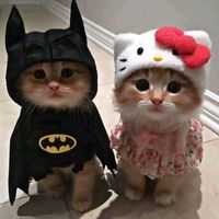 adriana_sabando