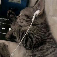 оригинальный звук