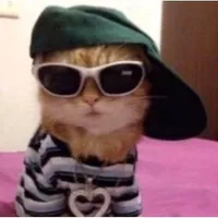 original sound - spedup.audios____