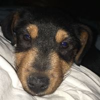 cindy.vgl