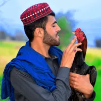 original sound - _mazhar_khan_786