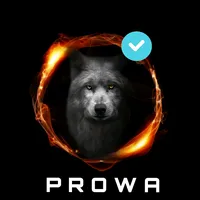 original sound - prowa_motivation