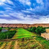 الصوت الأصلي