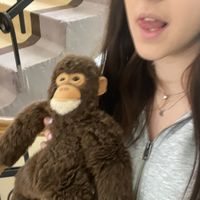 yarusyaa
