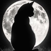 imnoir