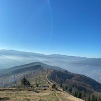 оригінальний звук