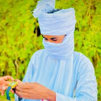 الصوت الأصلي