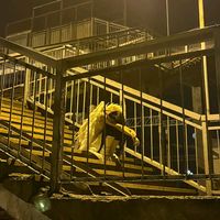 оригинальный звук