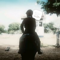 horses_edits_05
