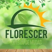 floriculturaflorescer