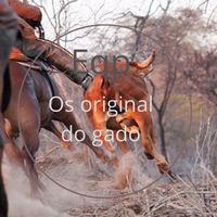eqp_os_original_do_gado