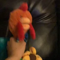 original sound - shinjiat8pm