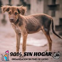 90xcientosinhogar