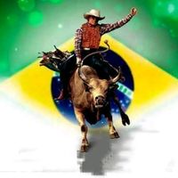 rodeioss