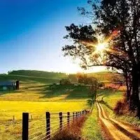 original sound - lisii412