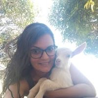 aline.santos90633