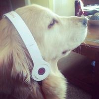 original sound