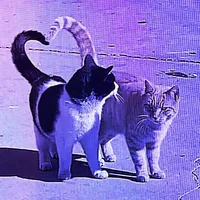 OMG TY FOR USING MY SOUND