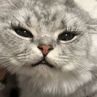 оригінальний звук