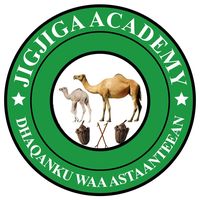 jigjiga__academy
