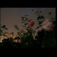 original sound - 7.kyl