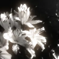 original sound - wmelyz