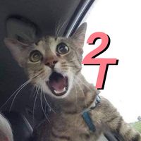 original sound - 2THANG