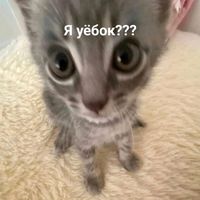 оригинальный звук