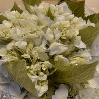 nhạc nền - orchids_011