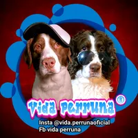 original sound - vida.perruna