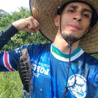 sonido original
