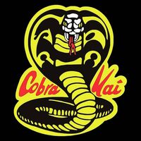 cobra_kai_clipzz33