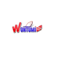 original sound - wontumitvofficial