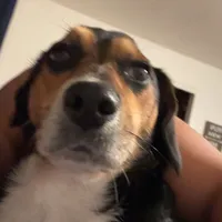 original sound - gemini.sarah