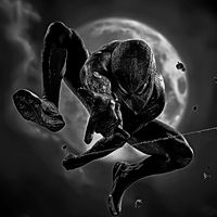 som original - nin.editions