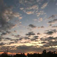 otin_48