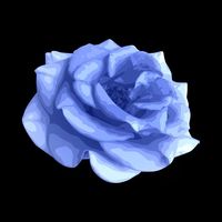 liliana5474