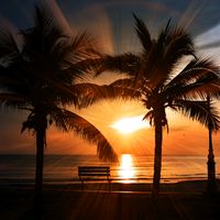 minhasfrases.diarias