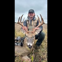 cheryls.shed.gone.wild