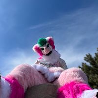 _syrenea_