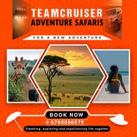 teamcruiser