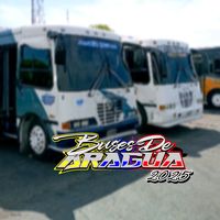 busesdearagua